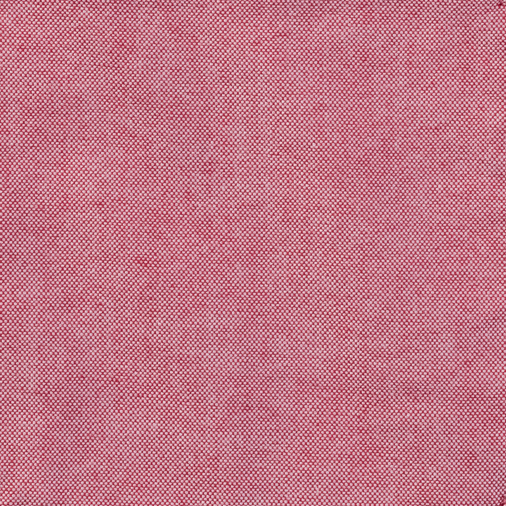  Russell Europe Camisa orgánica Oxford Washed entallada hombreotro