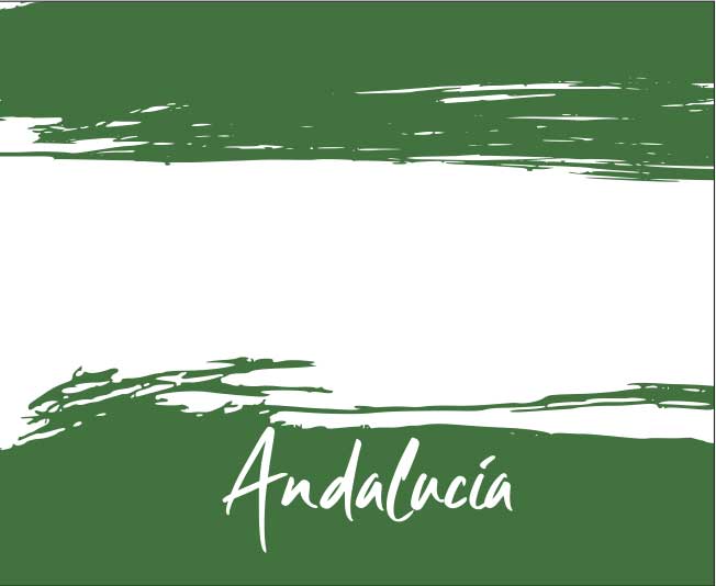 Mascarilla Adulto e Infantil Andalucia