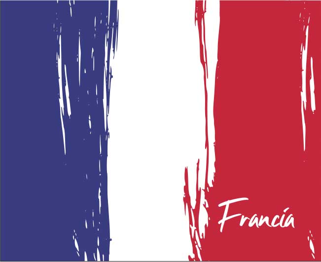 Mascarilla Adulto e Infantil Francia