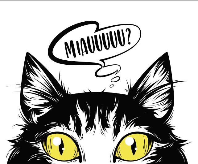 Mascarilla Adulto e Infantil Miau