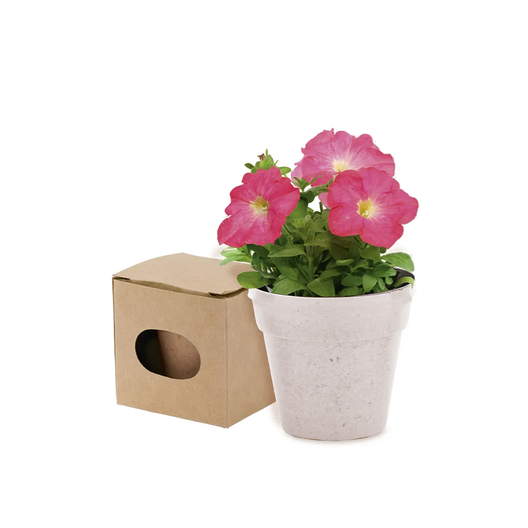  Makito MACETA ADVERT