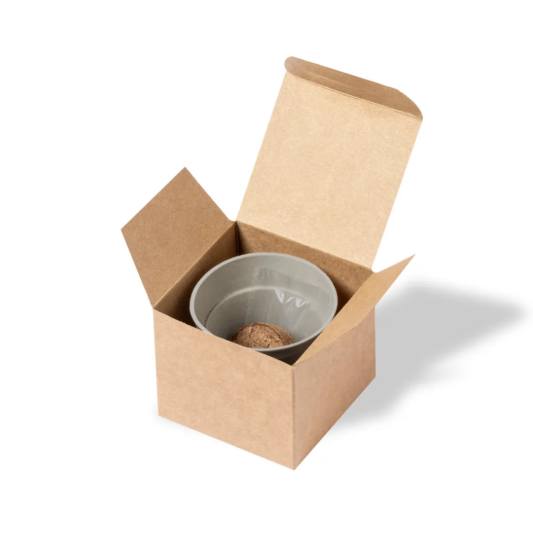 Maceta Tumil - vista 4