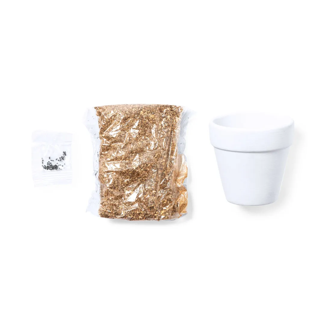 Maceta Konte - vista 1