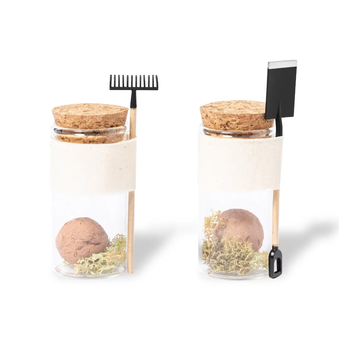 Bombón Semillas Winsu - vista 1