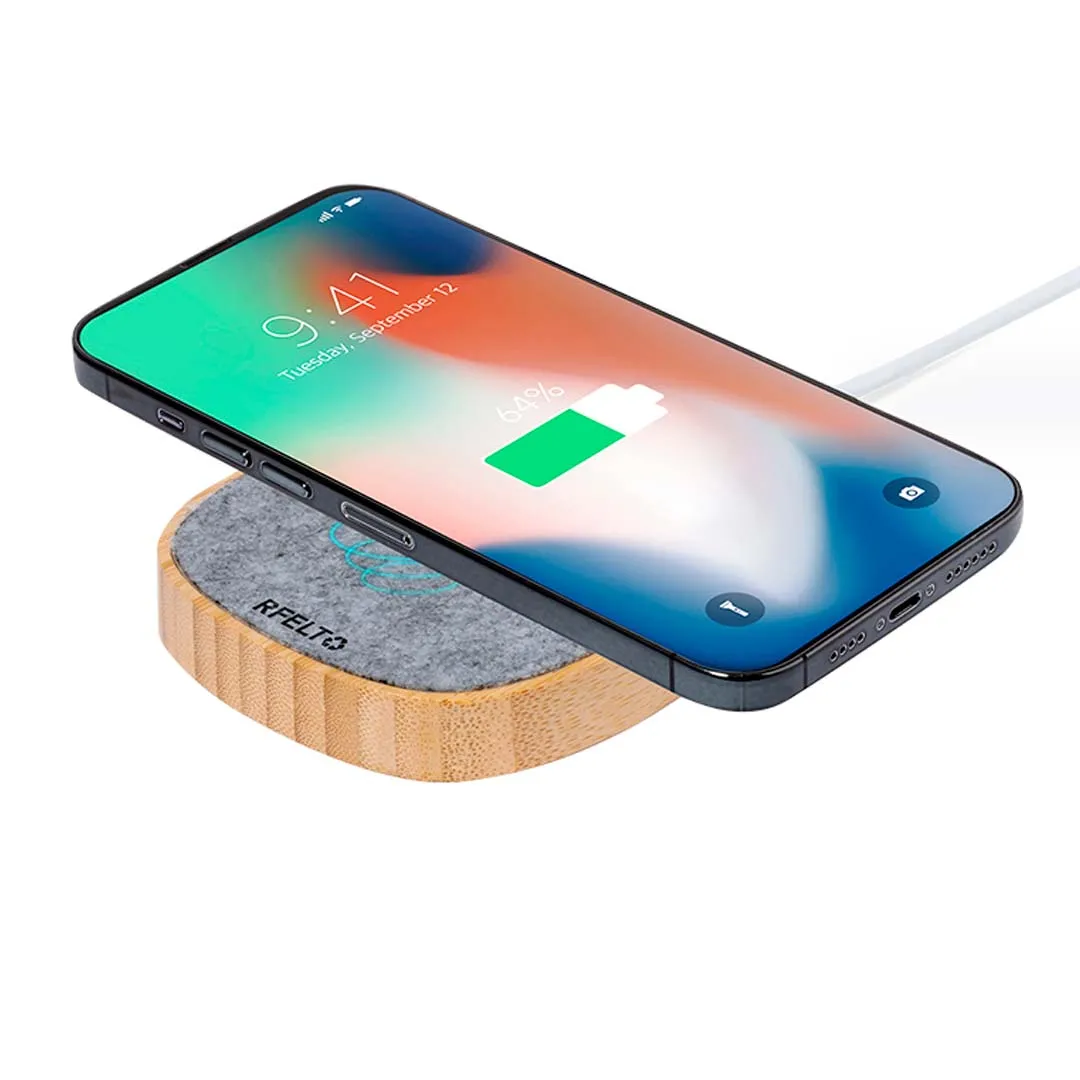 Cargador Emerson - vista 2