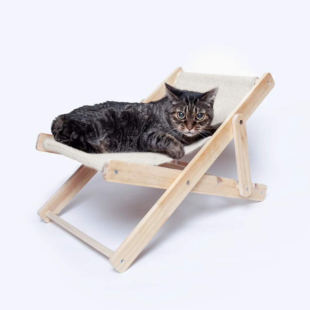 Silla Mascotas Diny - vista 1
