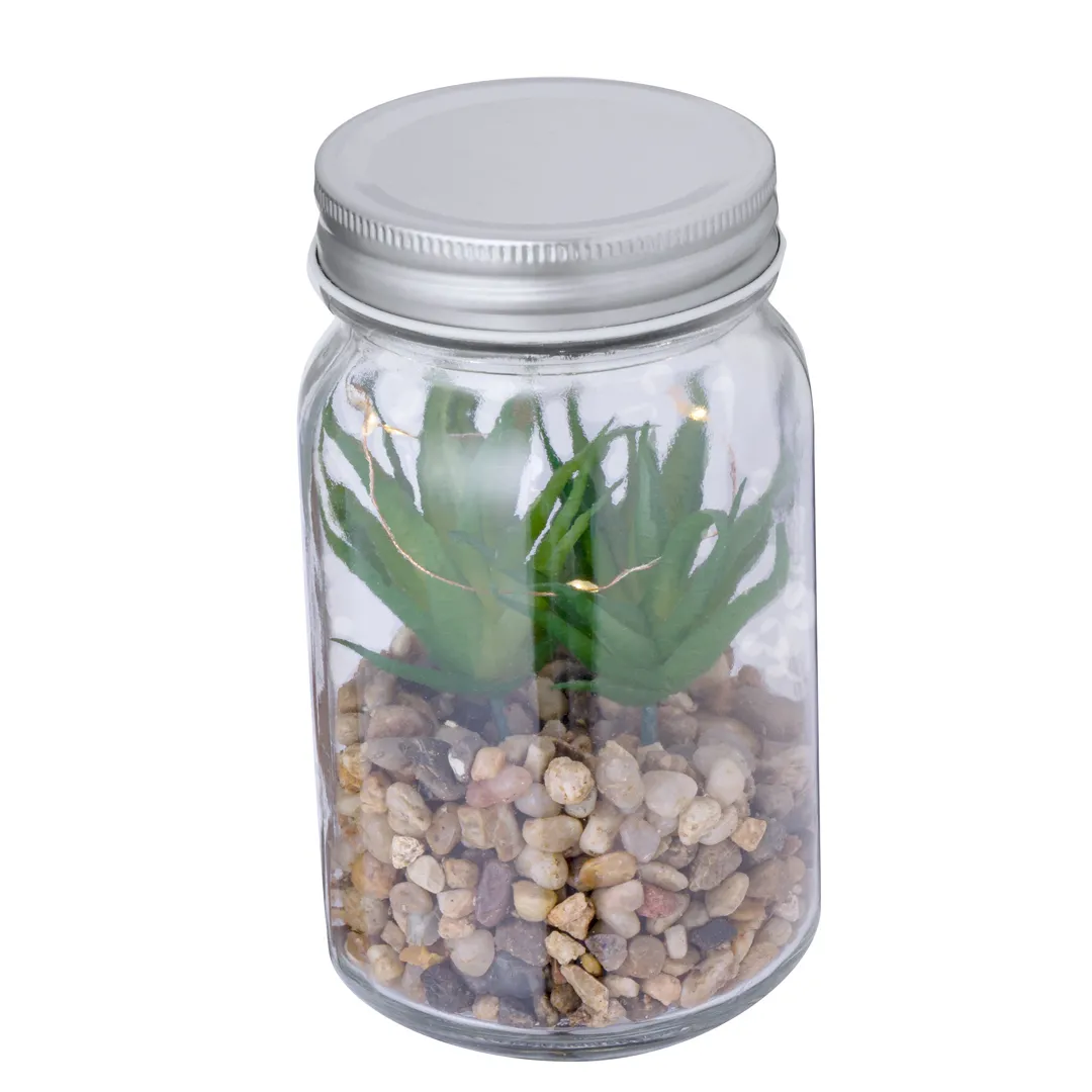 Planta Decorativa Kyala - vista 2