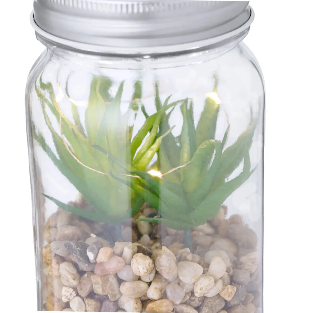 Planta Decorativa Kyala - vista 3