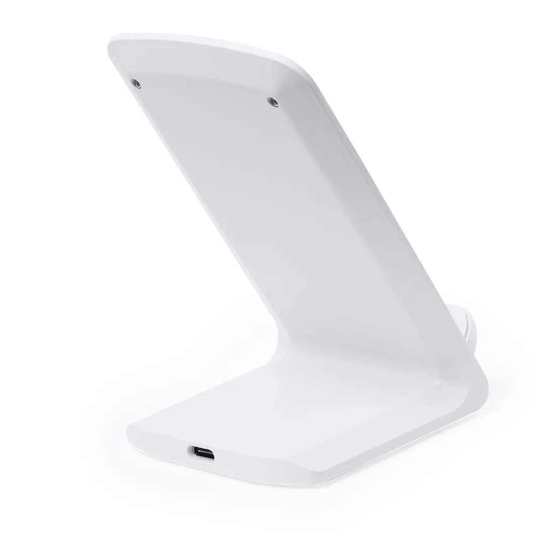 Cargador Tayil RCS - vista 2