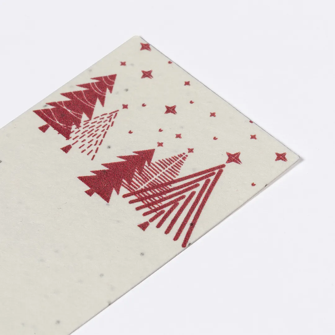 Marcapáginas Semillas Baird - vista 2