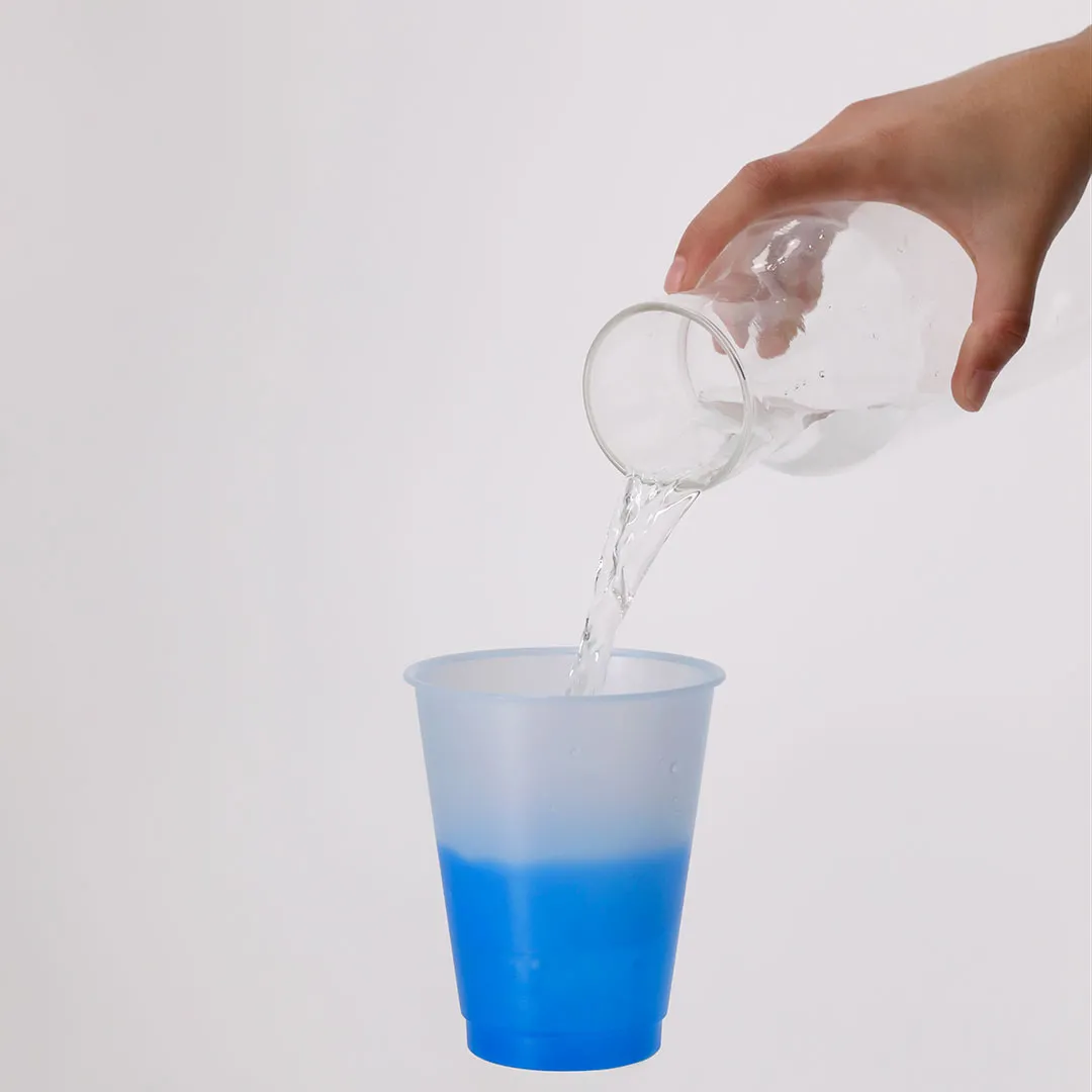 Vaso Yanin - vista 2