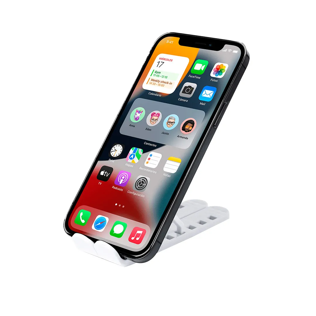 Soporte Winslu - vista 5