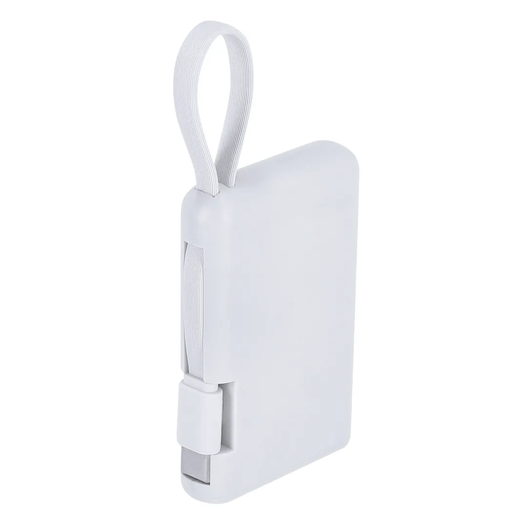 Power Bank Brandin - vista 1