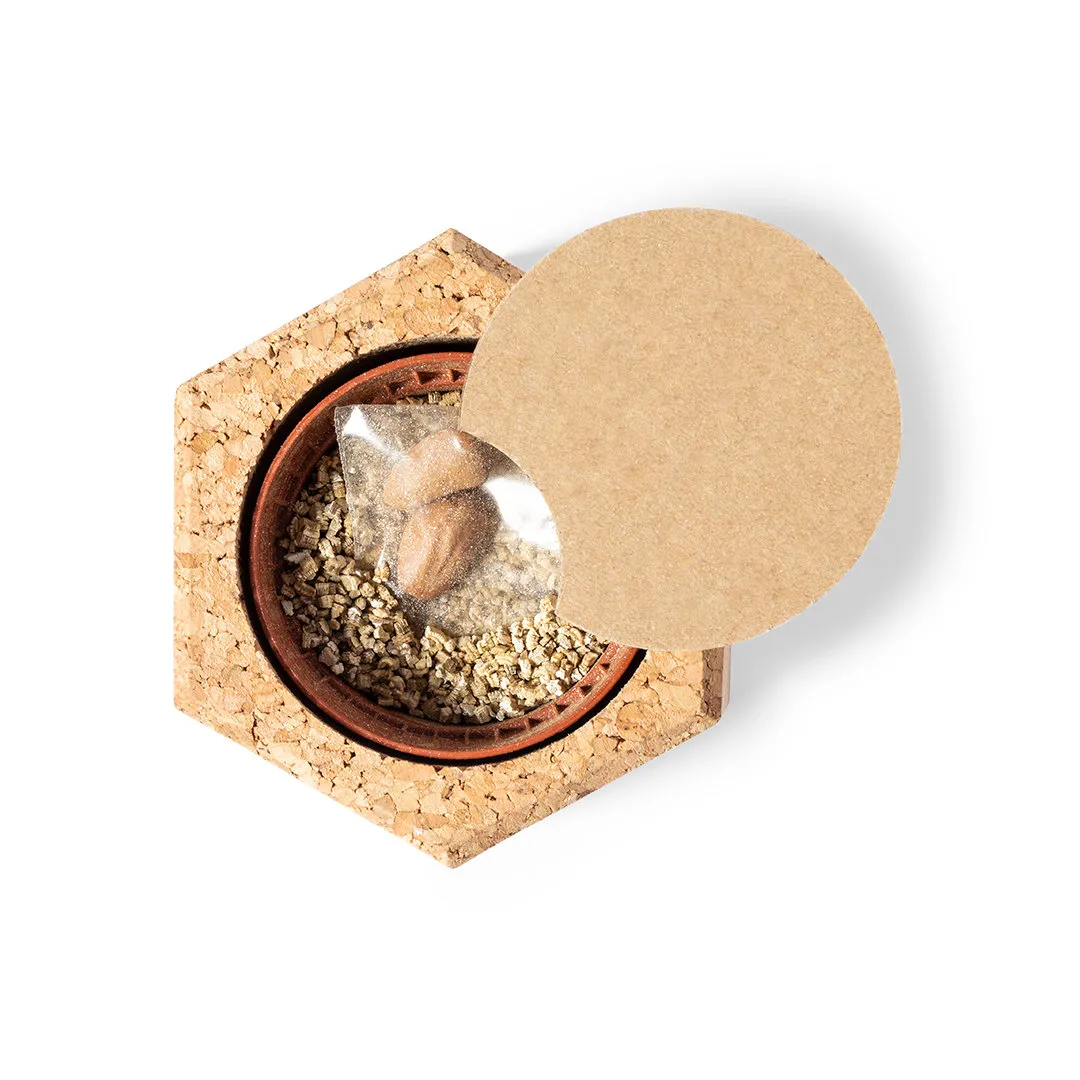 Maceta Gulytel - vista 2