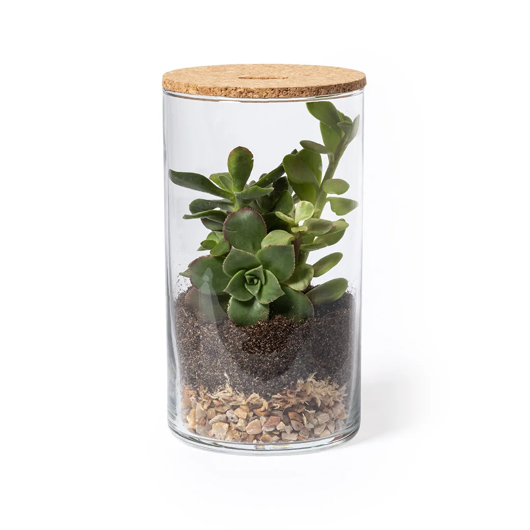 Terrarium Anymak - vista 1