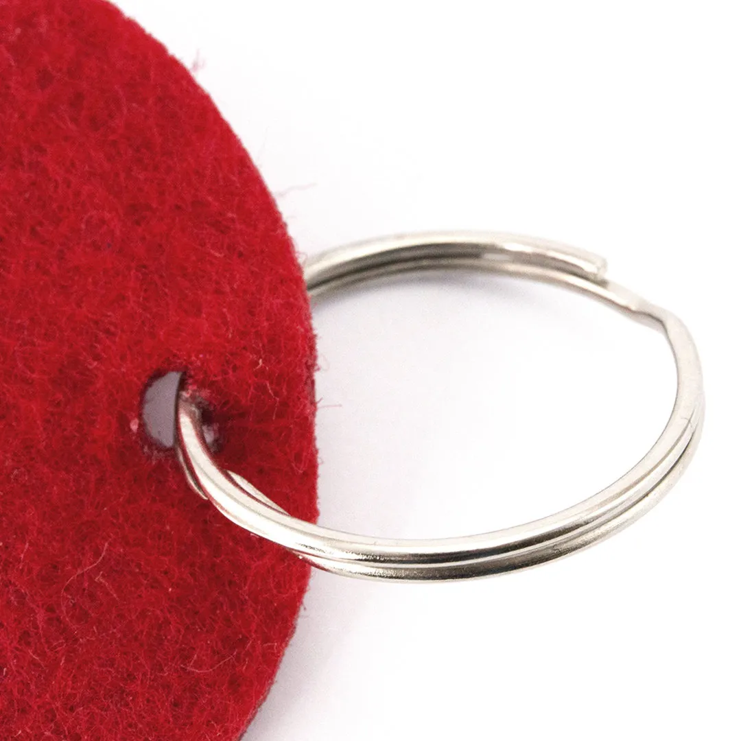 LLAVERO NICLES - vista 1