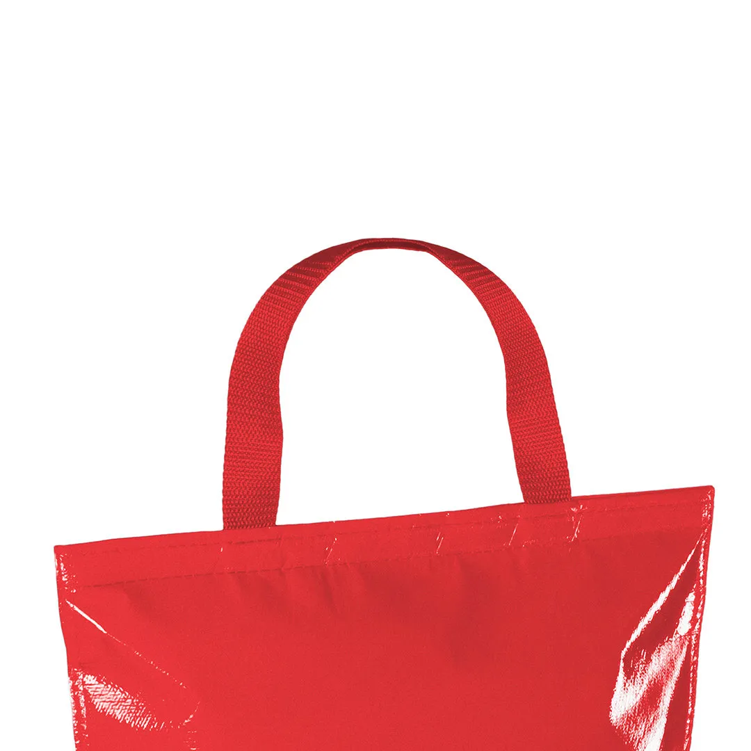 BOLSA NEVERA HOBART - vista 4