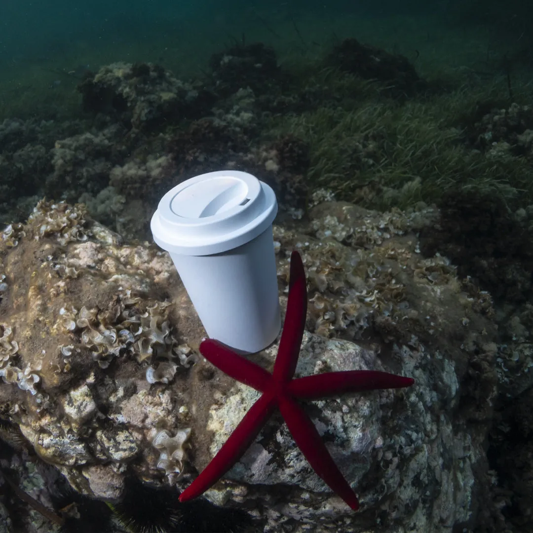 Vaso Petel - vista 1