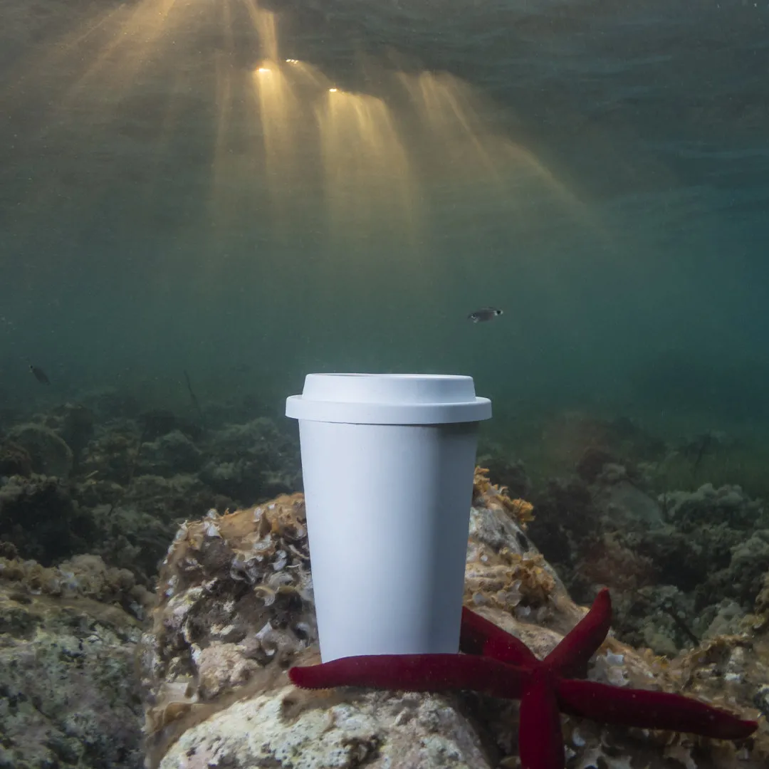 Vaso Petel - vista 2