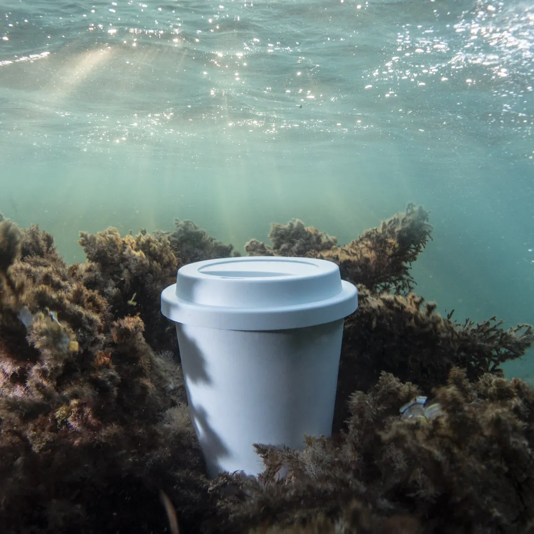 Vaso Petel - vista 6