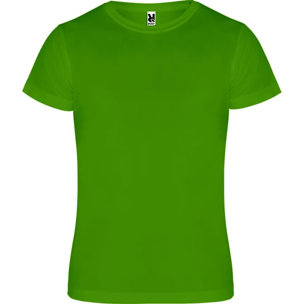CAMIMERA VERDE HELECHO