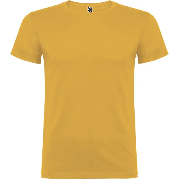 BEAGLE OCRE