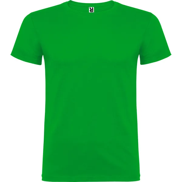 BEAGLE VERDE GRASS