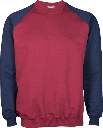 Sudaderas bicolor shop