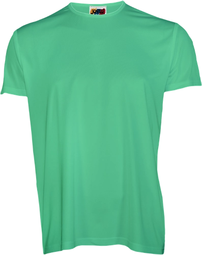 CAMISETA POLIESTER