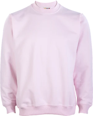  Joylu SUDADERA BASICA BASIC