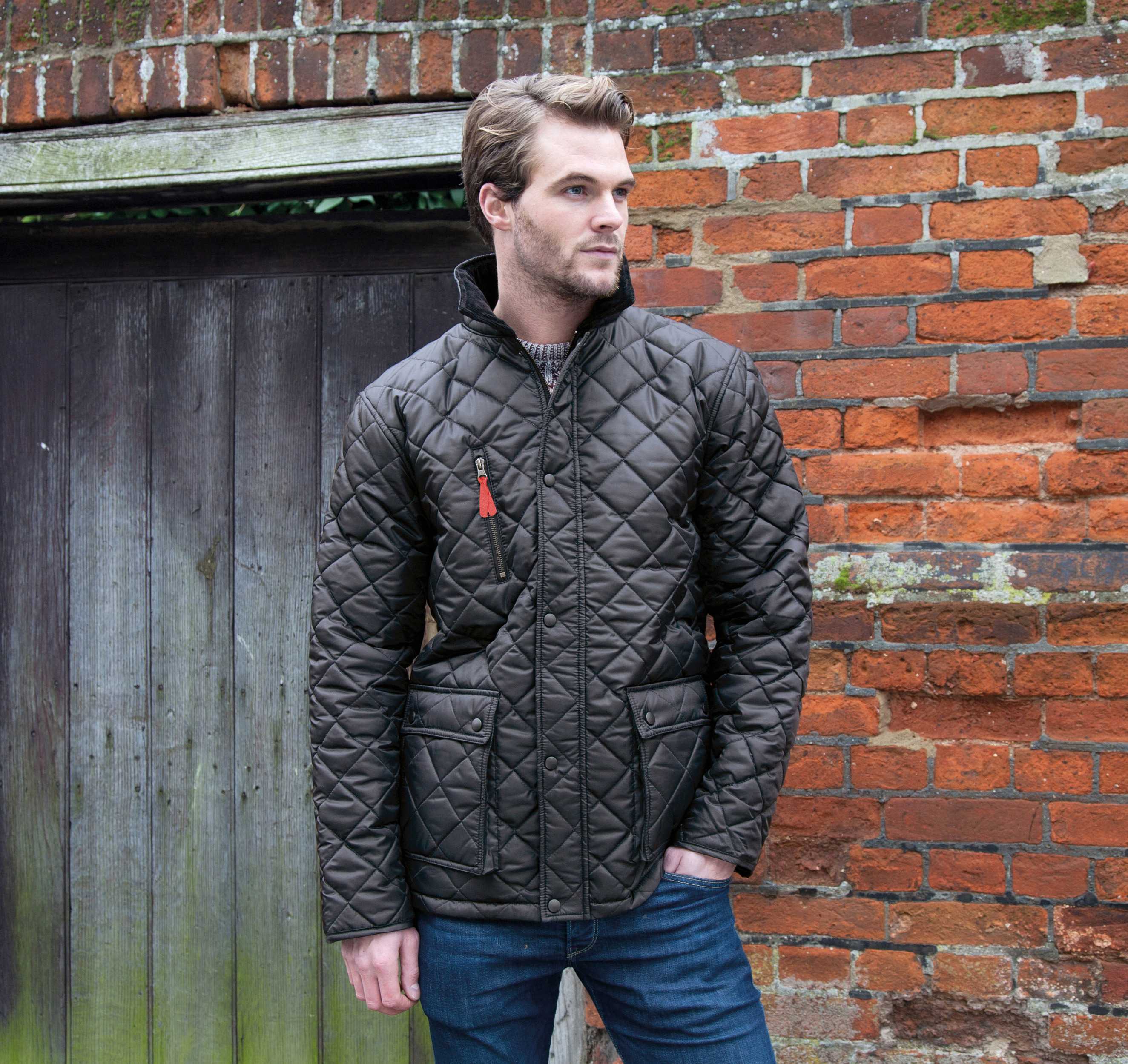 Result Chaqueta Cheltenham Gold