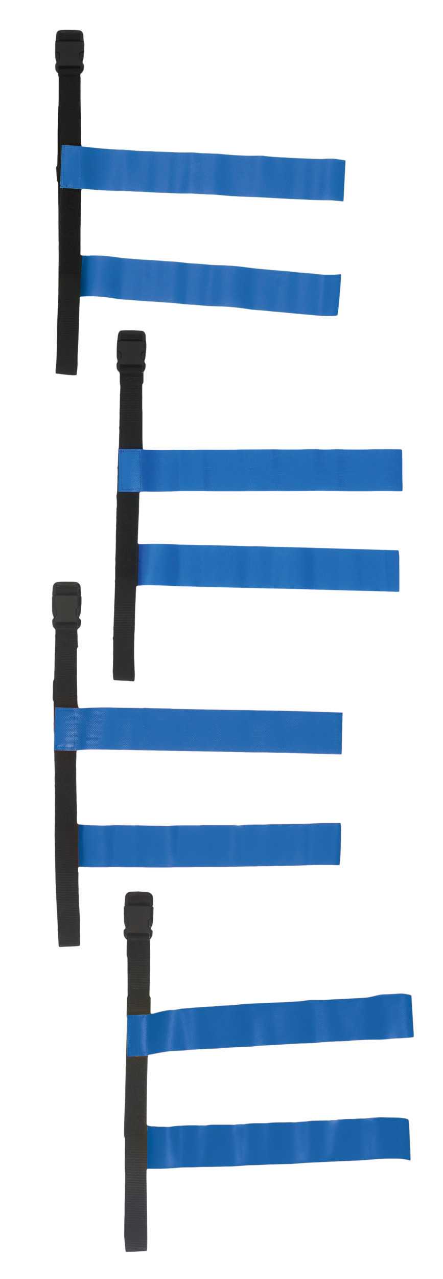 Cinturón Tag Black / Royal Blue